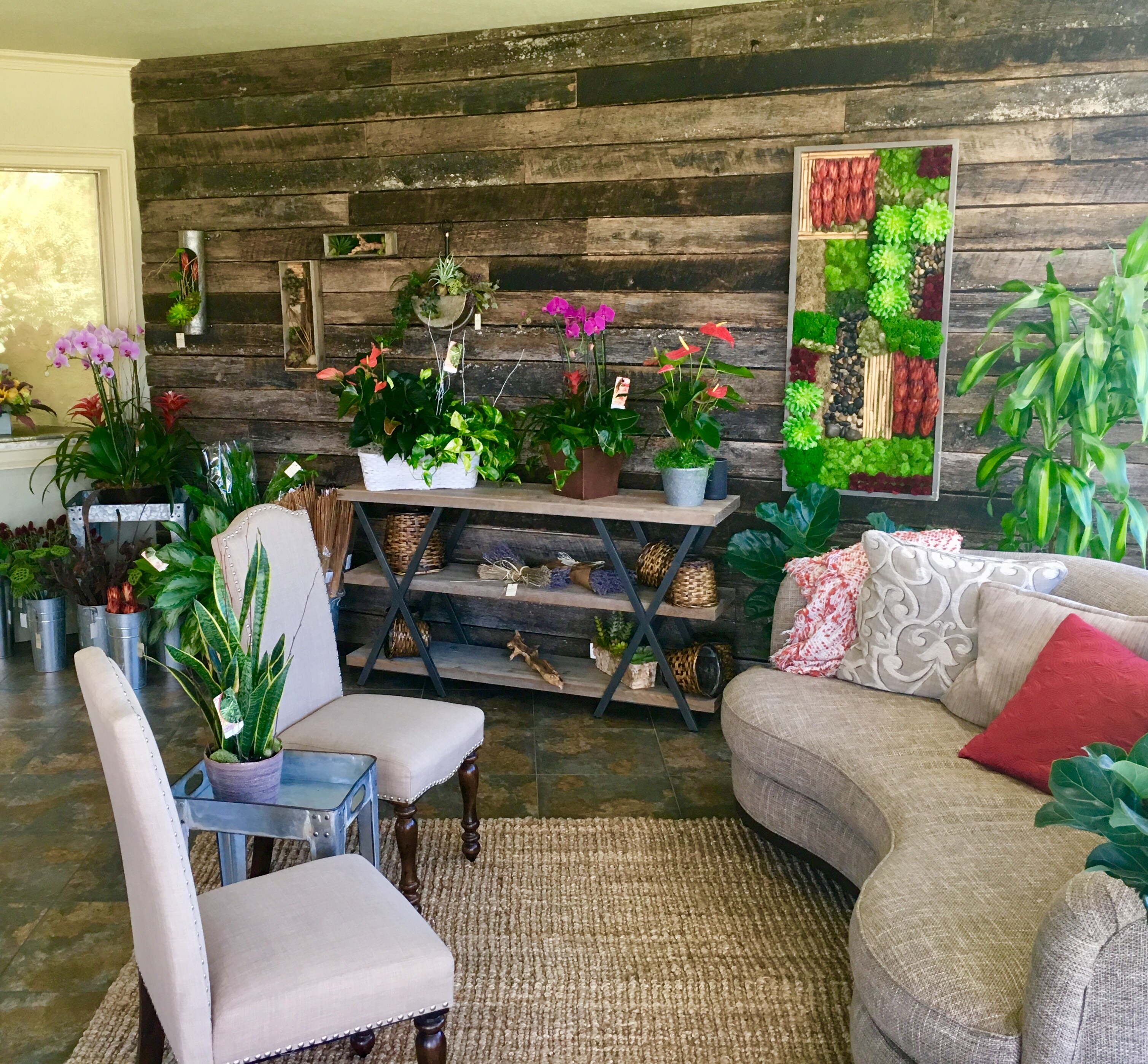 About Hassell Florist Clearwater, FL Florist